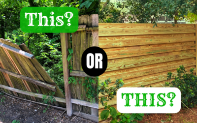 The Importance of Properly Building a Wooden Fence