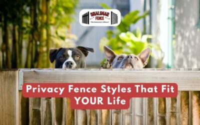 Privacy Fence Styles That Fit Your Life